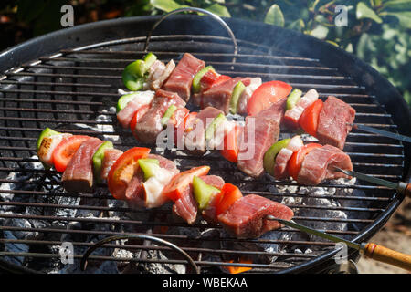 Brochette de boeuf grillées sur le rack d'un barbecue Banque D'Images