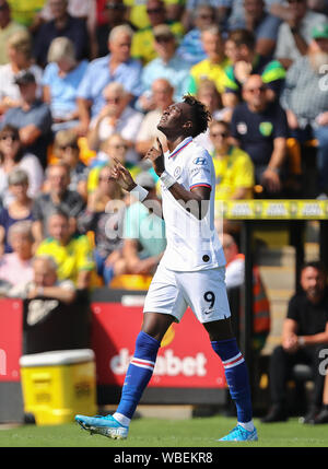 Tammy Abraham de Chelsea célèbre après avoir marqué le premier but, 0-1 - Norwich City v Chelsea, Premier League, Carrow Road, Norwich, UK - 24 août 2019 Editorial N'utilisez que des restrictions s'appliquent - DataCo Banque D'Images