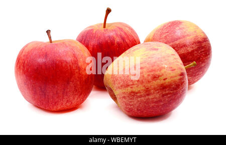 Quatre pommes rouges avec des gouttelettes d'eau sur fond blanc, l'accent sur le milieu apple Banque D'Images