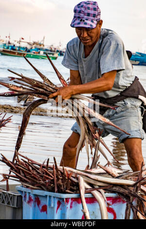 Puerto Lopez - Août 19, 2016 - pêcheur commercial sortes ses prises de poissons dans des paniers Banque D'Images