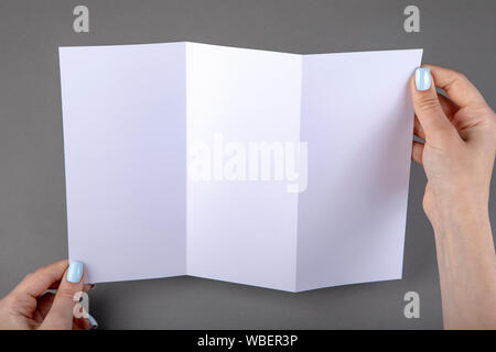 Une femme holding white brochure. Modèle d'identité Banque D'Images