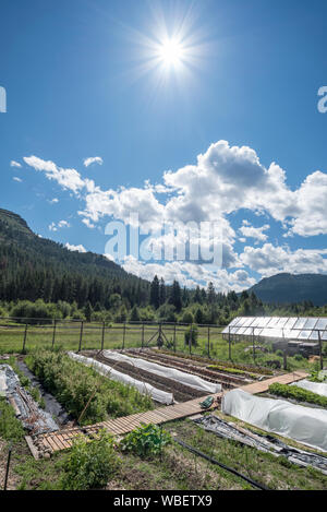 Jardin à l'Minam River Lodge dans les montagnes de l'Oregon Wallowa. Banque D'Images