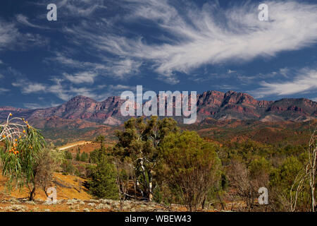 Paysage magnifique dans le parc national de Flinders Ranges avec plages rocheuses rouge robuste atteignant jusqu'en ciel bleu zébré de nuages, l'Australie du Sud Banque D'Images