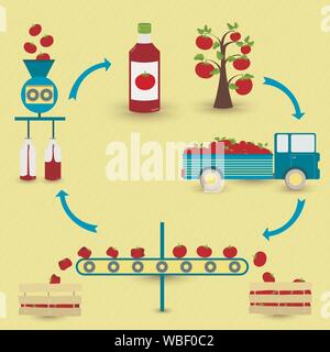 Sauce tomate étapes de production. Arbre généalogique de tomate, la récolte, le transport, la séparation de la saine et tomates pourries, transformés en usine et botted. Dans un circu Illustration de Vecteur