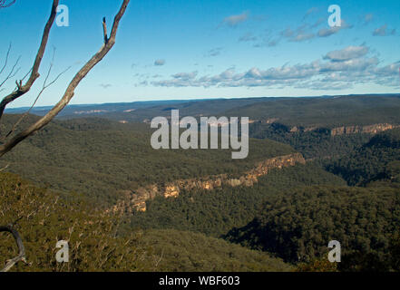 Vue imprenable sur paysage de collines boisées de Great Dividing Range rompu par gorges escarpées qui s'étend à l'horizon lointain et ciel bleu , NSW Australie Banque D'Images