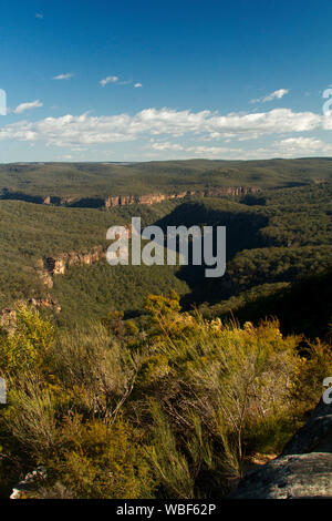 Vue imprenable sur paysage de collines boisées de Great Dividing Range rompu par gorges escarpées qui s'étend à l'horizon lointain et ciel bleu , NSW Australie Banque D'Images