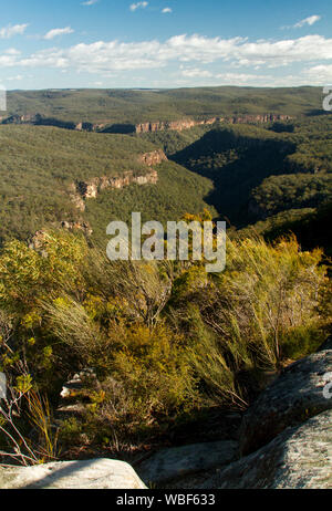 Vue imprenable sur paysage de collines boisées de Great Dividing Range rompu par gorges escarpées qui s'étend à l'horizon lointain et ciel bleu , NSW Australie Banque D'Images