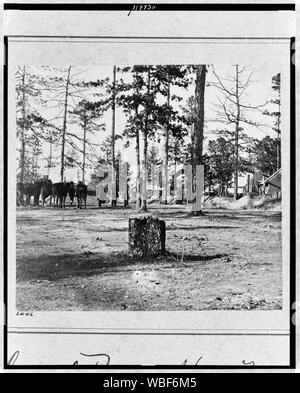 Général Birney's Head Quarters, 2e Division, le 10e Corps Résumé : Les soldats avec les chevaux. Banque D'Images