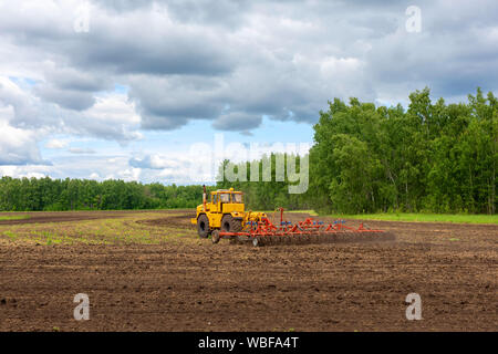Dans le domaine du tracteur de labour. machine agricole charrues le domaine, des herses et cultive le sol pour semer le grain.Le concept de l'agriculture et de l'hu Banque D'Images
