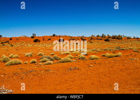 Australian Outback paysage avec des dunes de sable rouge bas barbouillé avec des touffes d'herbe spinifex sous ciel bleu au cours de la sécheresse Banque D'Images