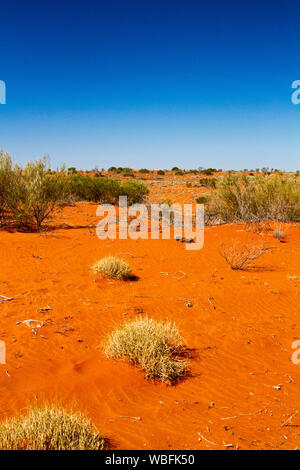 Australian Outback paysage avec des dunes de sable rouge bas barbouillé avec des touffes d'herbe spinifex sous ciel bleu au cours de la sécheresse Banque D'Images