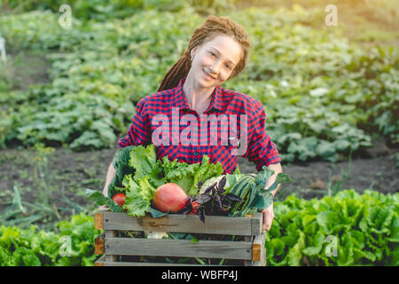 Une jeune femme agronome agriculteur détient une boîte de légumes frais et vert laitue dans le jardin. Les matières premières organiques produits cultivés sur une batterie d'origine Banque D'Images