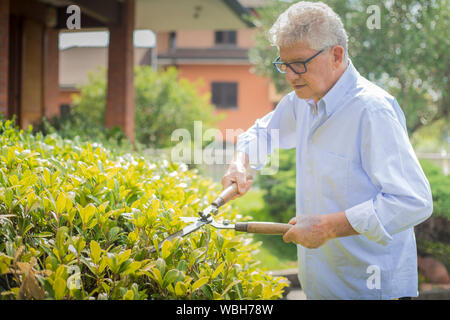 Portrait d'un homme de race blanche âgés avec des lunettes et un élagage shirt Bush dans son jardin sur une journée ensoleillée. Banque D'Images