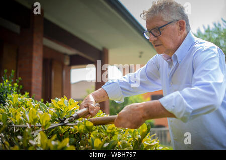 Portrait d'un homme de race blanche âgés avec des lunettes et un élagage shirt Bush dans son jardin sur une journée ensoleillée. Banque D'Images