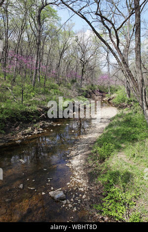 Peu de Cedar Creek Ernie Miller Park Olathe Kansas USA Mars 2012 Banque D'Images