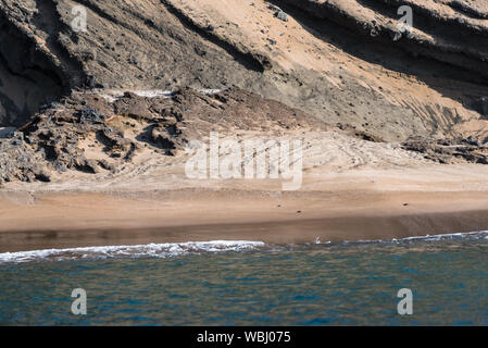 Les voies de tortue dans le sable sur la plage de Bartolome Island, îles Galapagos, en Équateur. Banque D'Images