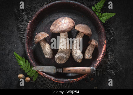 Champignons sauvages frais fraîchement prélevé de la forêt Banque D'Images