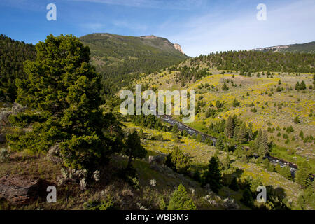 Rivière Gardiner et valley Parc National de Yellowstone au Wyoming USA Juin 2015 Banque D'Images