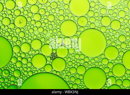 Motifs de bulles multicolores formés par l'huile flottant sur l'eau Banque D'Images