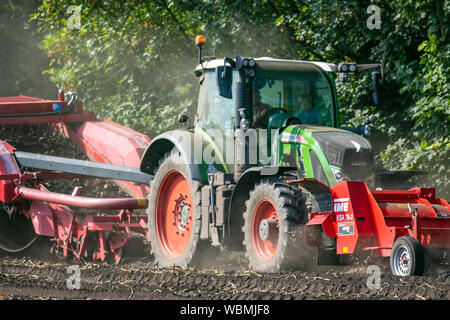 Machines de récolte de pommes de terre à Burscough, Lancashire. UK Météo. Les agriculteurs qui utilisent des tracteurs Fendt 820 et une récolteuse-hacheuse à deux rangs Grimme KSA 75-2 soulèvent une récolte de pommes de terre agricoles alors que les conditions estivales chaudes et sèches et poussiéreuses se poursuivent. Les représentants des agriculteurs avertissent de graves inquiétudes si la vague prolongée de temps chaud et sec se poursuit. Les pommes de terre sont la dernière culture en voie de hausse des prix due à une pénurie causée par un hiver exceptionnellement froid, suivi par un été brûlant. Herbicide, carfentrazone-éthyl est appliqué sur une culture peu avant la récolte pour tuer le feuillage. Banque D'Images