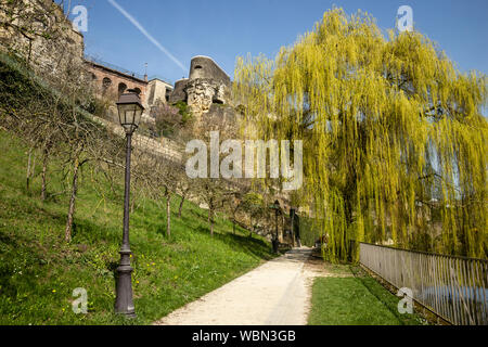 Beau parc de la ville de Luxembourg, Luxembourg Banque D'Images