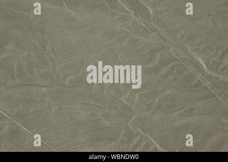 Vue aérienne de lignes de Nazca représentant un singe Géoglyphe de Nazca, Pérou, Banque D'Images