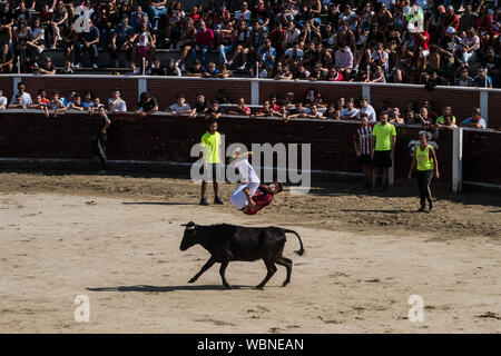 San Sebastian de los Reyes, Madrid, Espagne. 27 août 2019. Un reveler sautant par-dessus un taureau après les premières courses de taureaux ('encierros') dans la municipalité de San Sebastian de los Reyes, près de Madrid, également connu sous le nom de 'little Pampelune'. Credit : Marcos del Mazo/Alamy Live News Banque D'Images