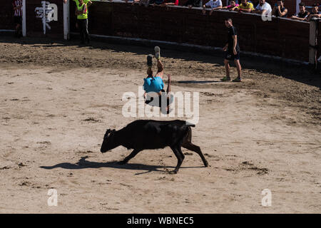 San Sebastian de los Reyes, Madrid, Espagne. 27 août 2019. Un reveler sautant par-dessus un taureau après les premières courses de taureaux ('encierros') dans la municipalité de San Sebastian de los Reyes, près de Madrid, également connu sous le nom de 'little Pampelune'. Credit : Marcos del Mazo/Alamy Live News Banque D'Images