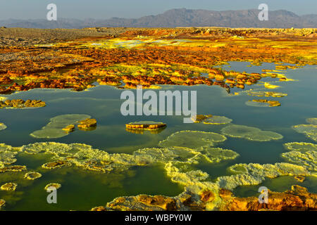 Sulfure de formations rocheuses dans une saumure acide le champ géothermique de piscine, de dépression Danakil, Dallol, Triangle Afar, Ethiopie Banque D'Images