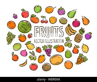 Ensemble de fruits isolé sur fond blanc. Illustration vectorielle Illustration de Vecteur