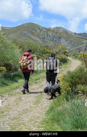 Jeune homme et l'homme plus âgé marcher avec un chien à travers la montagne Banque D'Images