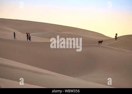 Khongoryn Els appelé aussi Duut Mankhan est populairement connu comme le "Singing Sands. Les dunes de sable s'étendent à plus de 965 kilomètres carrés de superficie et la hausse Banque D'Images