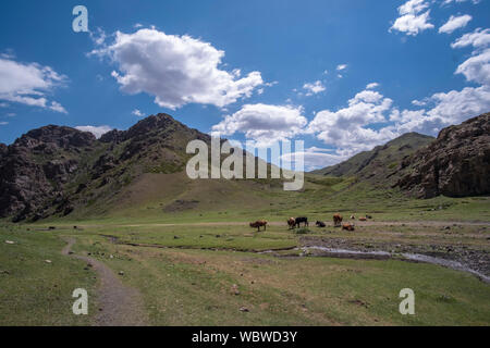 Yolyn Am est une gorge étroite et profonde dans l'Gurvan Saikhan montagnes du sud de la Mongolie. La vallée est nommé d'après le gypaète, qui est appelé Y Banque D'Images