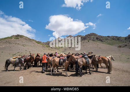 Troupeau de chevaux à Yolyn Am, Mongolie Banque D'Images