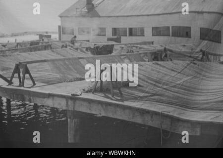 Le noir et blanc des images d'avant-garde des travailleurs à Steveston projetée sur une feuille de tissu froissé Banque D'Images