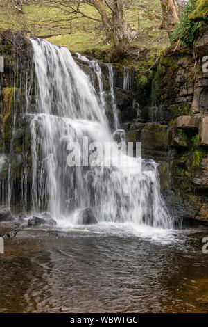 Gill est active, dans Swaledale Banque D'Images