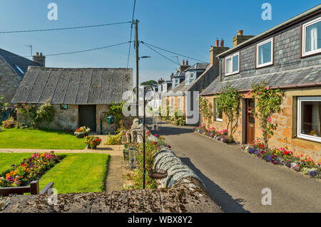 DORNOCH SUTHERLAND ECOSSE MAISON ET JARDIN DE PETITE VILLE DANS CARNAIG STREET construit vers 1850 Banque D'Images