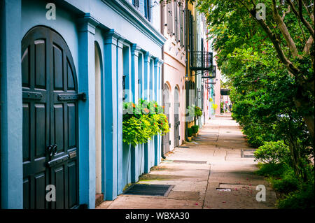 Doublure de verdure l'architecture géorgienne de la coloniale la ligne de la batterie dans le quartier historique de Charleston, Caroline du Sud Banque D'Images