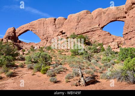 Deux arches à Arches National Park, Utah, USA Banque D'Images