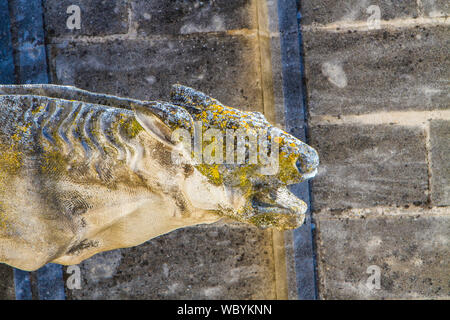 Détail de la trombe marine en forme de dragon au Palais des Papes à Avignon, France Banque D'Images
