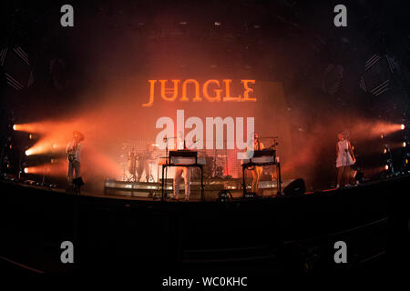 Biddinghuizen, Pays-Bas 16 août 2019 Jungle en concert au festival Lowlands 2019 © Roberto Finizio/ Alamy Banque D'Images