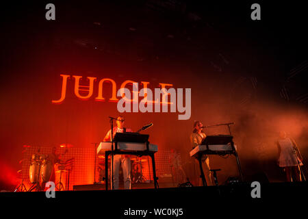 Biddinghuizen, Pays-Bas 16 août 2019 Jungle en concert au festival Lowlands 2019 © Roberto Finizio/ Alamy Banque D'Images