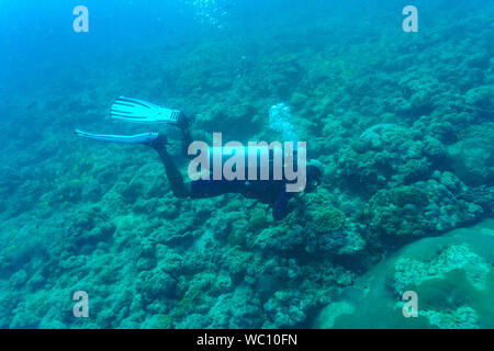 Un plongeur dving dans un récif de corail dans les îles Andaman (Inde) - près de Chidiya Tapu Banque D'Images