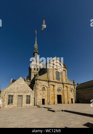 Mont saint Michel façade avec une mouette Banque D'Images