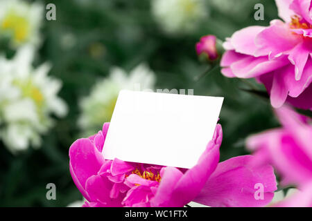 Carte vierge blanc sur fond de fleurs. Belle et fraîche du paysage. Copie de la papeterie et de l'espace vide. Les contacts. Banque D'Images
