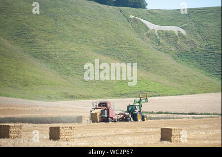 Winfield, Wiltshire, Royaume-Uni. 26 août 2019. La moisson a commencé dans sérieux pour cet agriculteur Wiltshire comme il produit des balles de foin à côté de la Vega Whit Banque D'Images