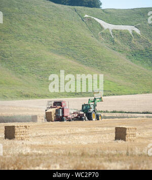 Winfield, Wiltshire, Royaume-Uni. 26 août 2019. La moisson a commencé dans sérieux pour cet agriculteur Wiltshire comme il produit des balles de foin à côté de la Vega Whit Banque D'Images