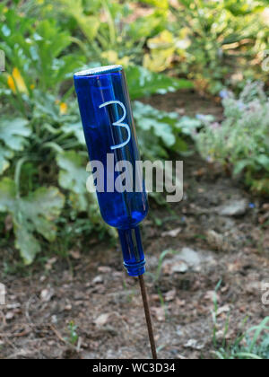 Ancien Bleu bouteilles recyclées de parcelles nombre dans un potager avec la rotation des cultures. Banque D'Images