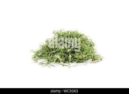 Pile de remède naturel à base de plantes séchées appelé Equisetum arvense prêle des champs la prêle commune ou isolé sur blanc. Banque D'Images