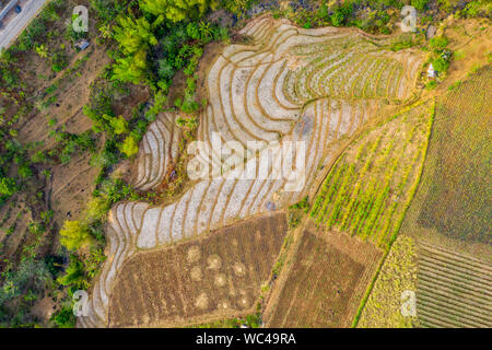 Terrasses de riz, un Mansalanao-Cabagna, La Castellana, Philippines Banque D'Images